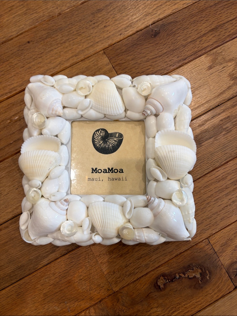 Moa Moa Maui Hawaii White Shell Photo Frame - Coastal Home Accent NEW